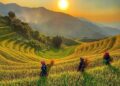 Ha Giang Adventure: A Journey Through Time and Culture