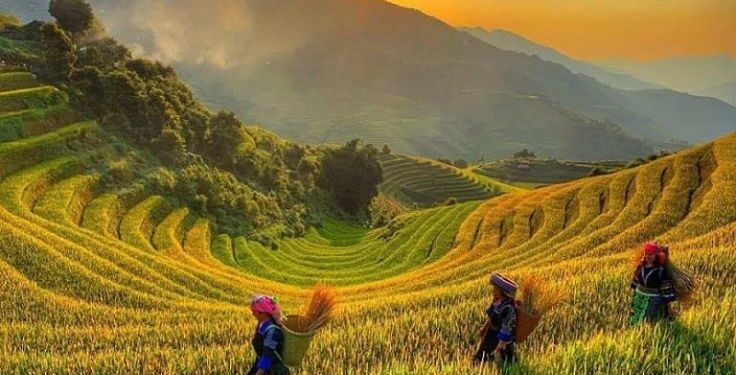 Ha Giang Adventure: A Journey Through Time and Culture